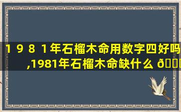 １９８１年石榴木命用数字四好吗,1981年石榴木命缺什么 🐞 81属鸡大运几年